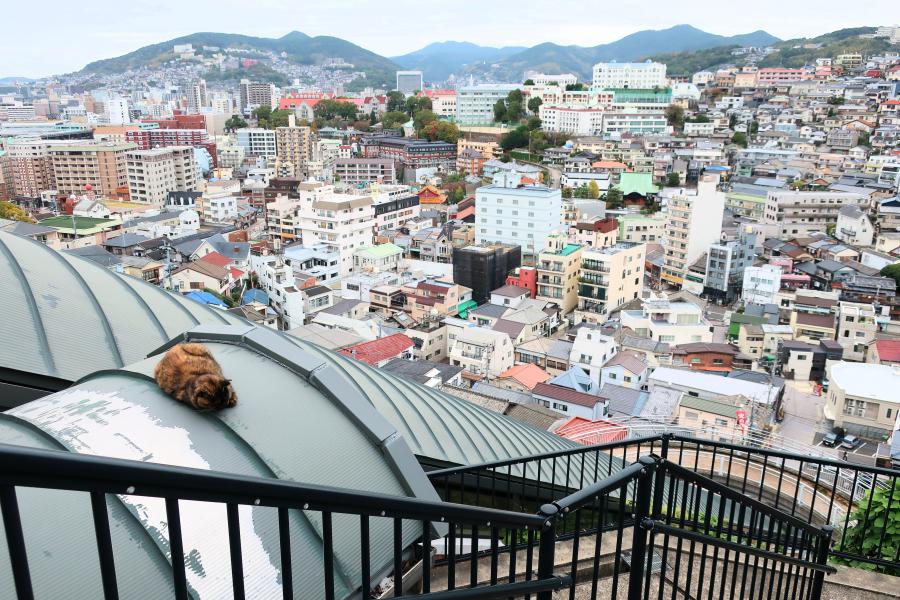 交通手段