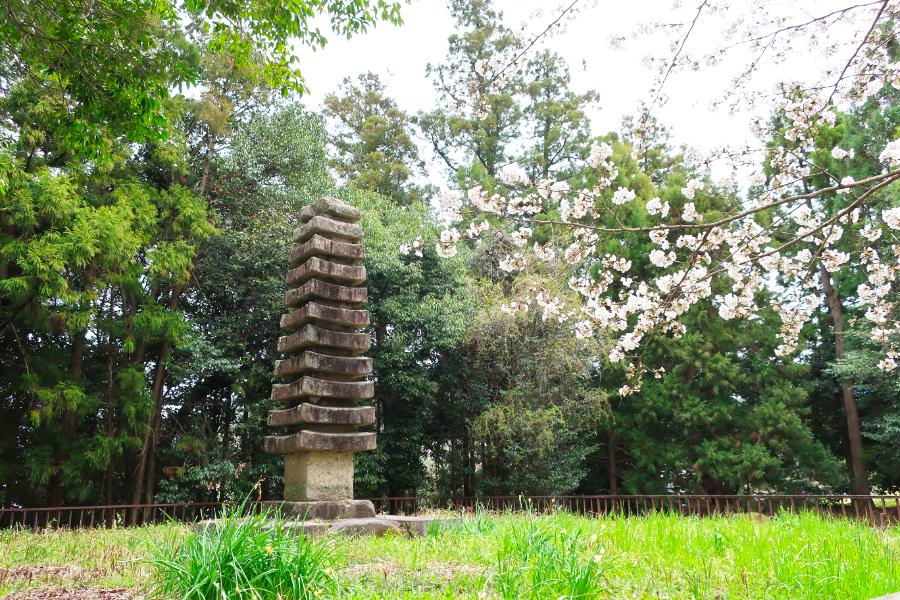 観光世界遺産檜隈寺跡/於美阿志神社(ひのくまでらあと/おみあしじんじゃ)(観光5分)の写真
