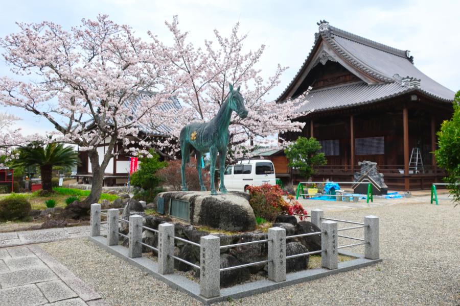 観光世界遺産橘寺(たちばなでら)と聖徳太子御誕生所(観光20分)の写真