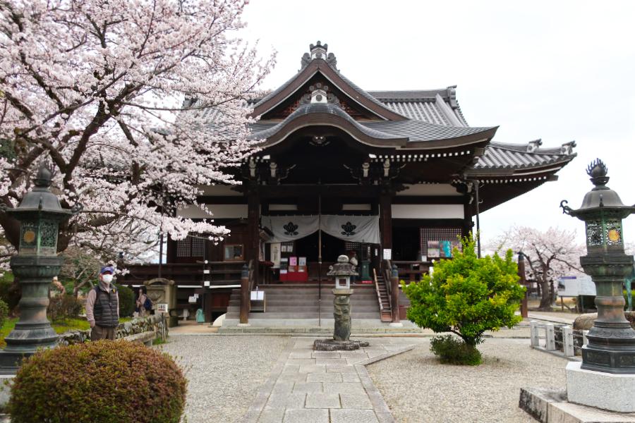 観光世界遺産橘寺(たちばなでら)と聖徳太子御誕生所(観光20分)の写真