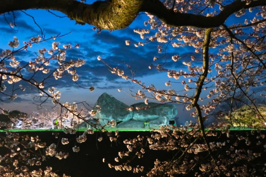 観光遺産候補石舞台古墳(いしぶたいこふん)(観光 昼20分 夜1時間)の写真