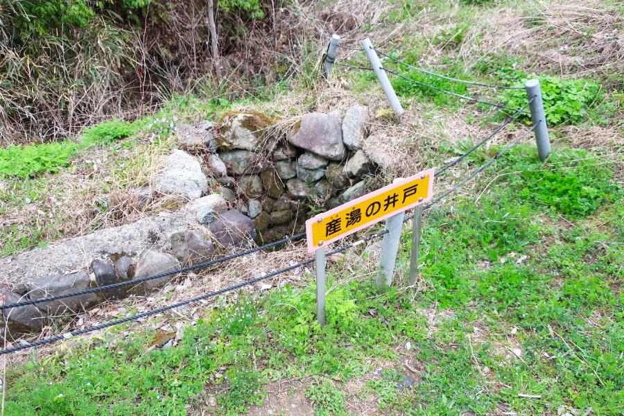 観光藤原鎌足の産湯の井戸、大伴夫人の墓(観光5分)の写真