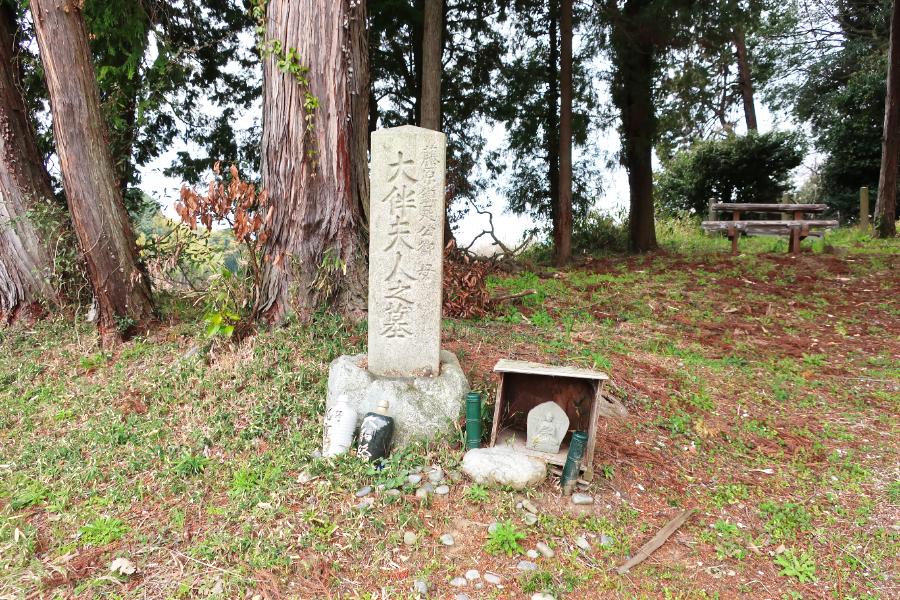 観光藤原鎌足の産湯の井戸、大伴夫人の墓(観光5分)の写真