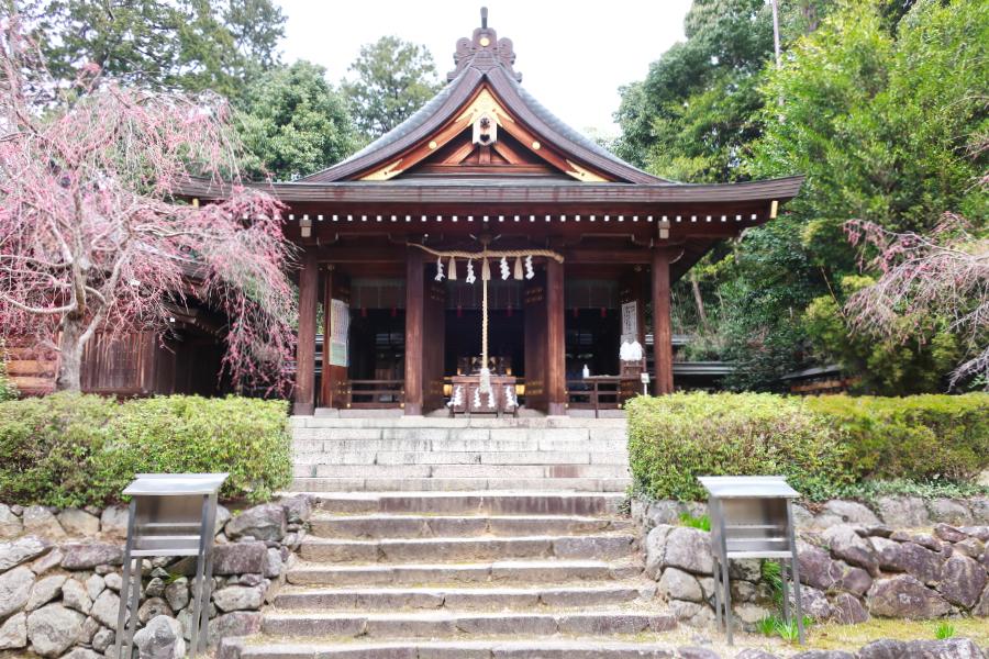 観光飛鳥坐神社(あすかにいますじんじゃ)(観光5分)の写真