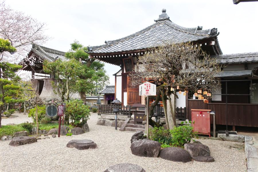 観光遺産候補飛鳥寺跡と蘇我入鹿の首塚(観光15分)の写真