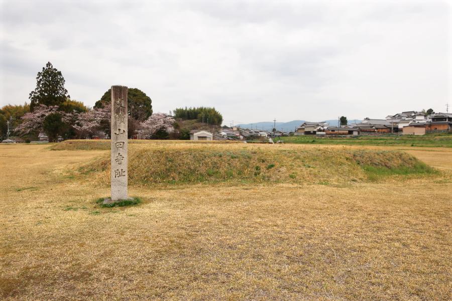 観光遺産候補山田寺跡(観光5分)の写真