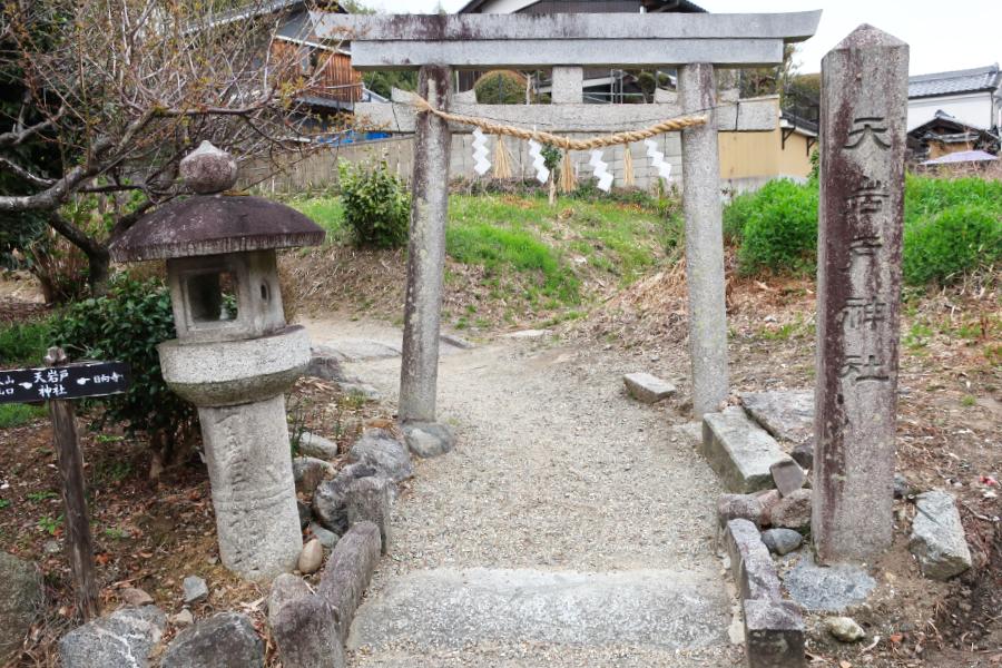 観光天岩戸神社(あまのいわとじんじゃ)(観光5分)の写真