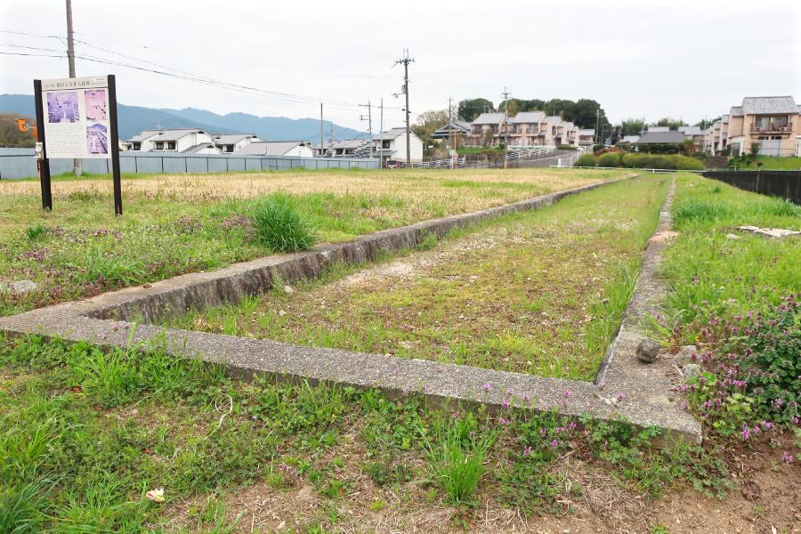 観光遺産候補藤原宮跡(ふじわらのみやあと)、藤原京 朱雀大路跡(ふじわらきょう すざくおおじあと)(観光 計10分)の写真