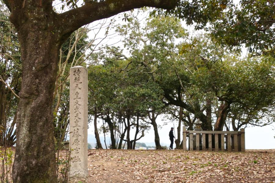 観光遺産候補藤原宮跡(ふじわらのみやあと)、藤原京 朱雀大路跡(ふじわらきょう すざくおおじあと)(観光 計10分)の写真