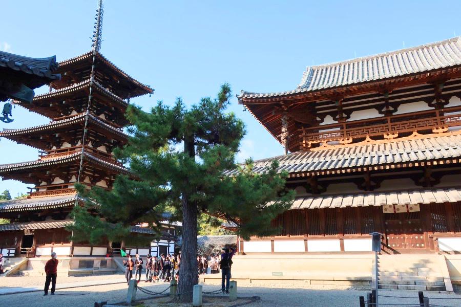 世界遺産 法隆寺の金堂の写真@奈良観光