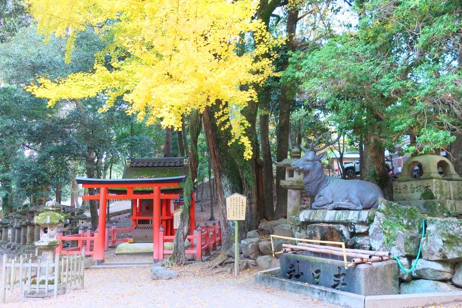 世界遺産 古都奈良の春日大社の写真@奈良観光