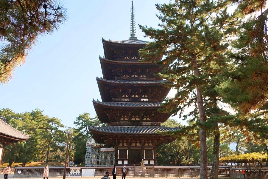 世界遺産 古都奈良の興福寺 五重塔の写真@奈良観光
