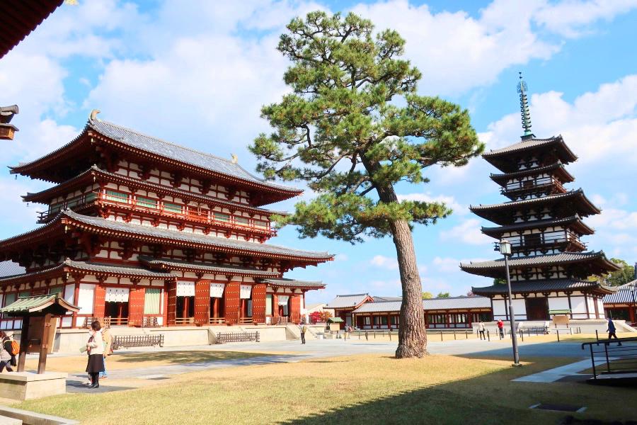 世界遺産 古都奈良の薬師寺 金堂と東塔の写真@奈良観光