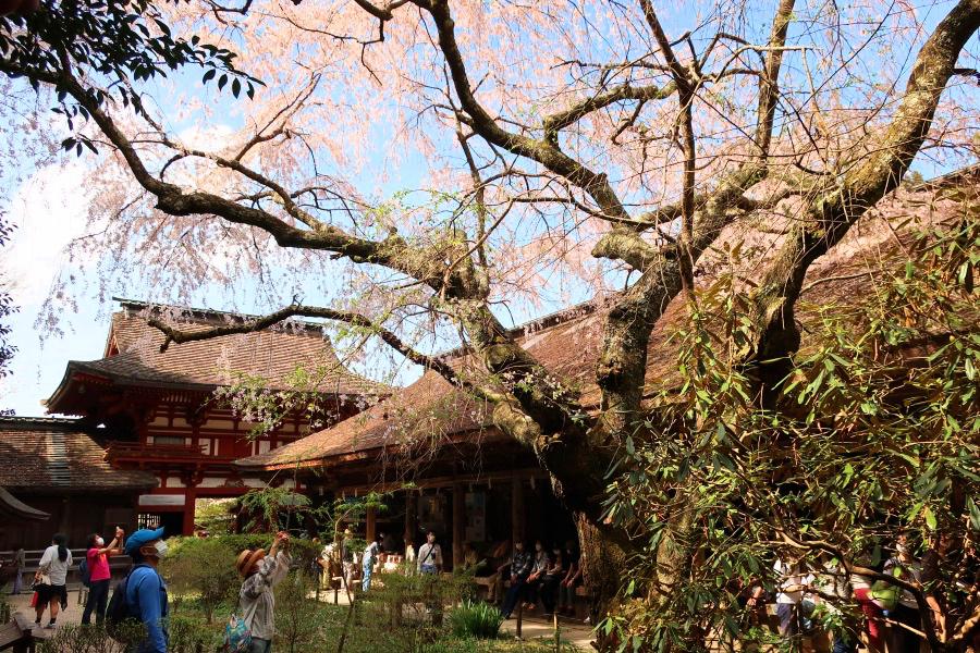 世界遺産 吉野山の吉野水分神社の写真@奈良の吉野観光