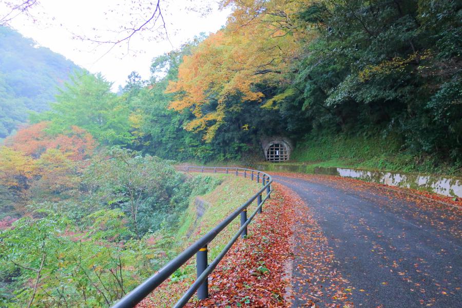 世界遺産 佐渡島の宗太夫坑への道の写真