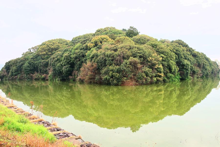 観光世界遺産白鳥陵古墳(はくちょうりょうこふん)/軽里大塚古墳(かるさとおおつかこふん)の写真