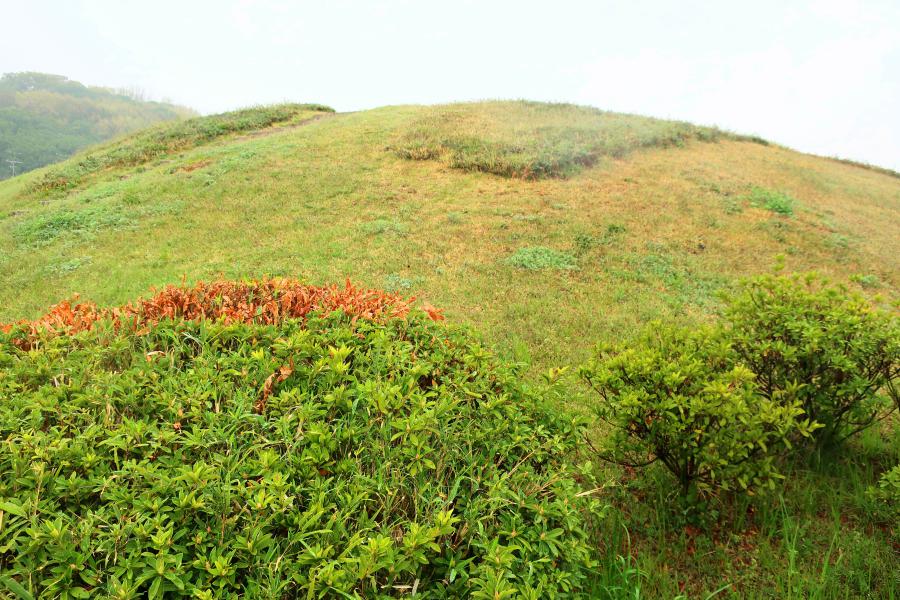 観光世界遺産仲姫命陵古墳(なかつひめのみことりょうこふん)/仲ツ山古墳(なかつやまこふん)と鍋塚古墳(なべづかこふん)の写真