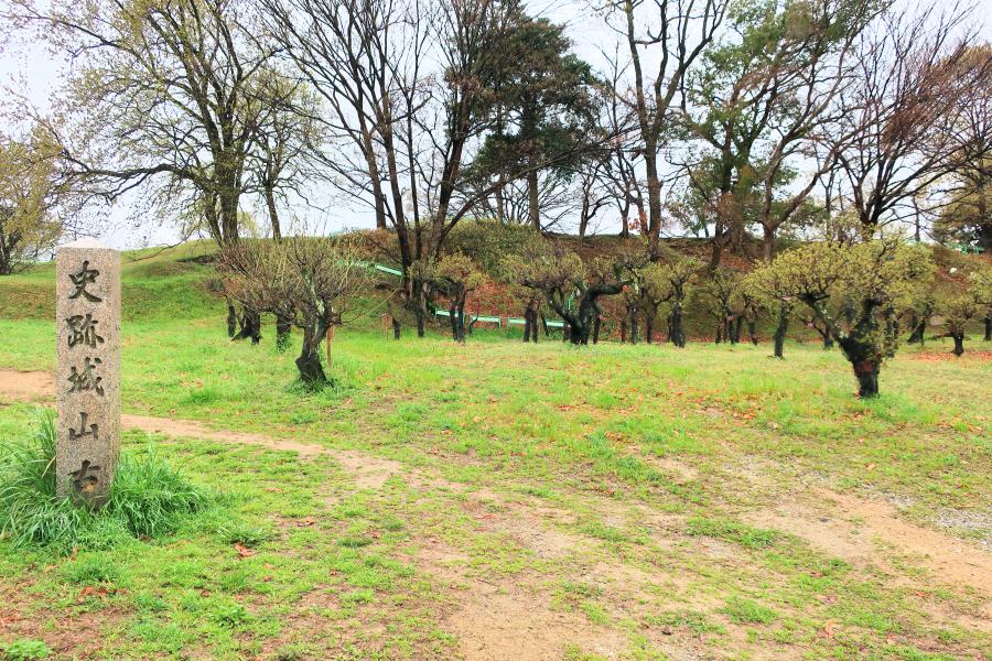 観光世界遺産津堂城山古墳(つどうしろやまこふん)の写真