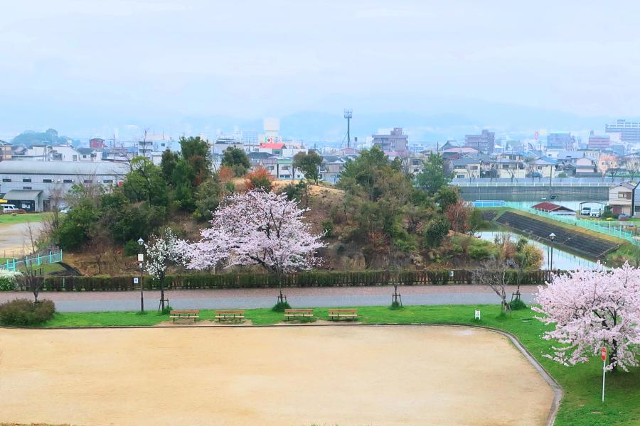 観光世界遺産峯ヶ塚古墳(みねがづかこふん)の写真