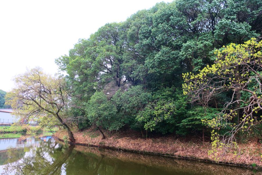 観光世界遺産墓山古墳(はかやまこふん)と向墓山古墳(むこうはかやまこふん)の写真