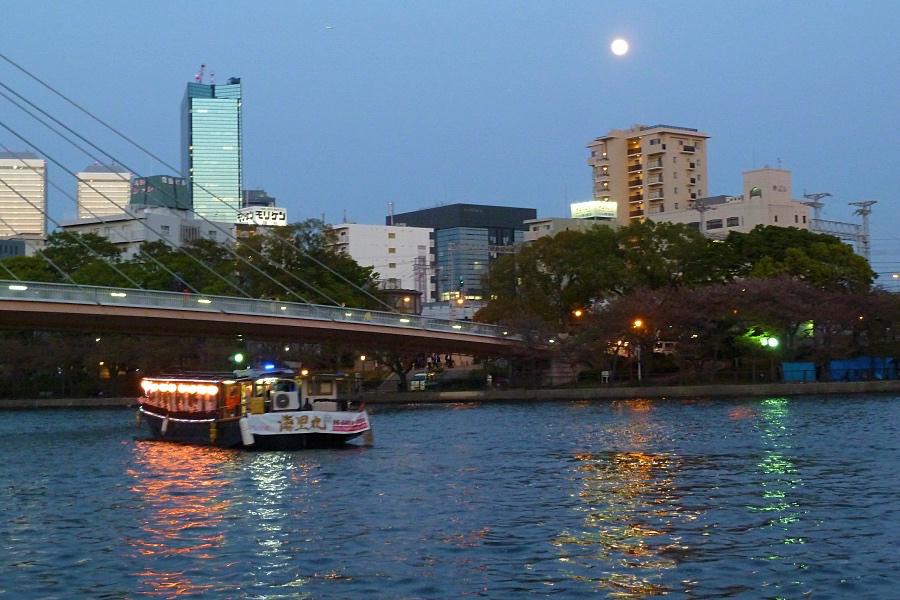 大阪造幣局の桜の通り抜けを川から船での写真@大阪観光
