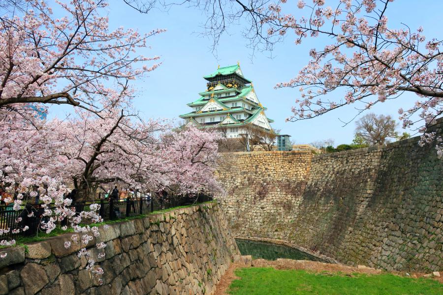 観光大阪城の写真