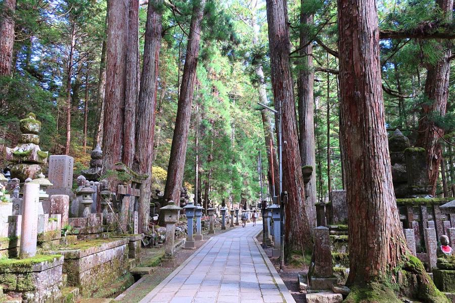 世界遺産 高野山の奥之院の写真@高野山観光/和歌山旅行