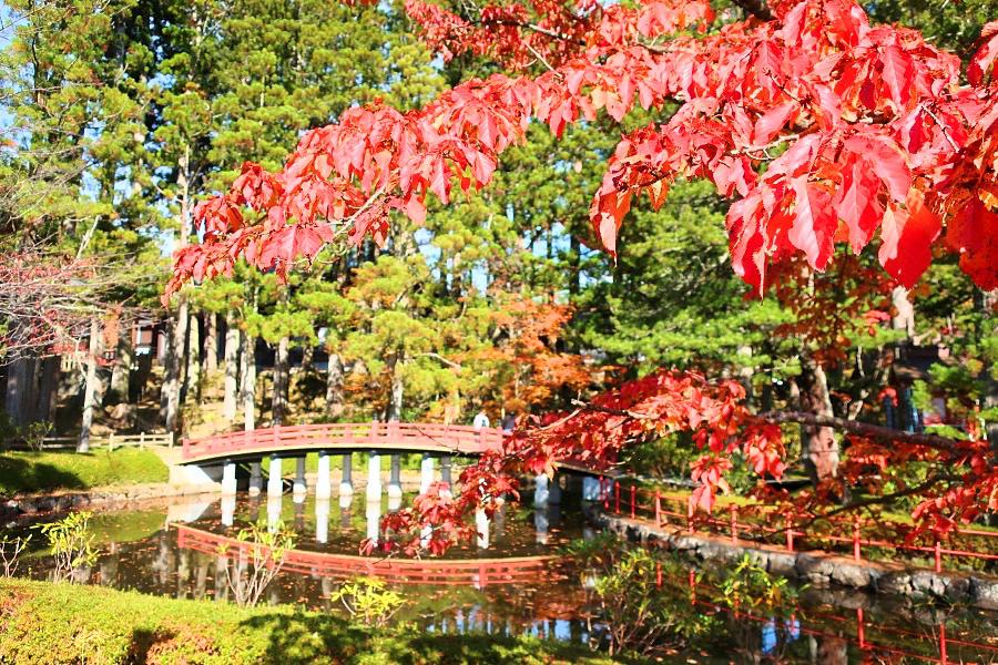 世界遺産 高野山の壇上伽藍の蓮池と紅葉写真@高野山観光/和歌山旅行