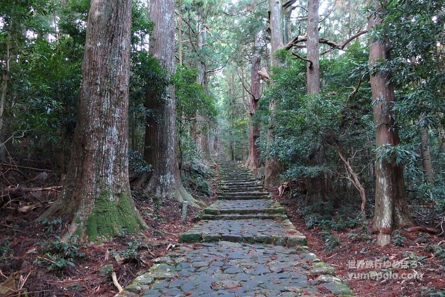 世界遺産 熊野古道の大門坂の写真@熊野三山観光/和歌山旅行