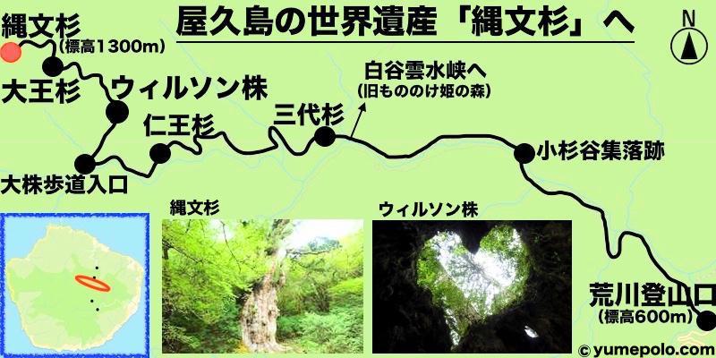 鹿児島 屋久島 縄文杉トレッキングのマップ