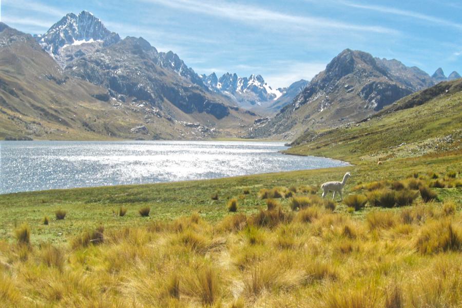 観光世界遺産ワスカラン国立公園 ケロコチャ湖(Laguna Querococha)(標高3980m)(観光20分)の写真