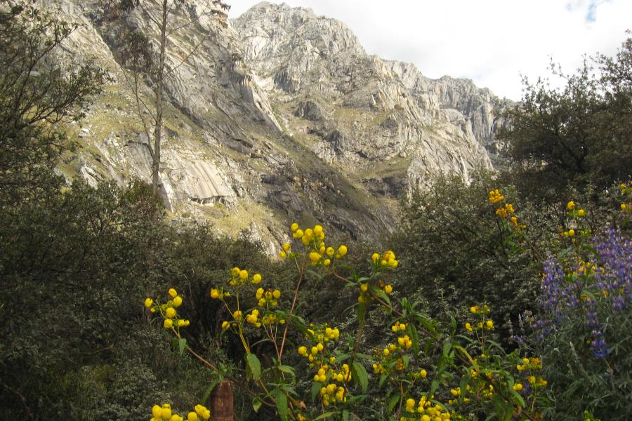 観光世界遺産ワスカラン国立公園(Huascaran) ヤンガヌコ谷(Llanganuco)のチナンコチャ湖(Laguna Chinancocha)(標高3850m)(観光1時間)の写真