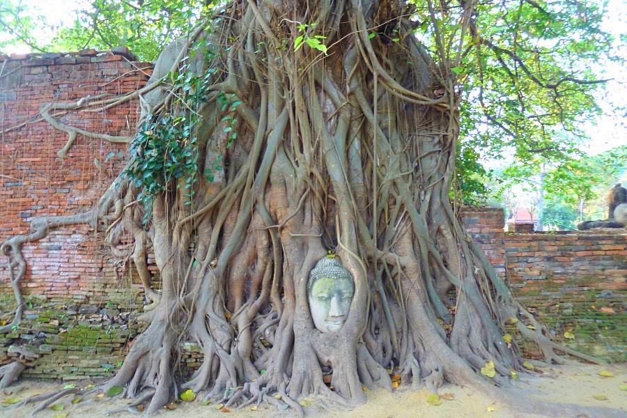 世界遺産古都アユタヤ歴史公園のワット・マハータート写真@タイ観光