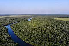 世界遺産コルキスの雨林・湿地群