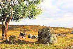 世界遺産シエンクワーン県ジャール平原の巨大石壺遺跡群