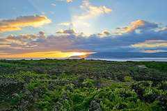 世界遺産ピーコ島のブドウ園文化の景観