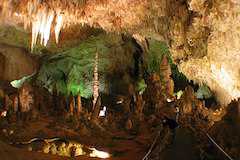 世界遺産カールズバッド洞窟群国立公園