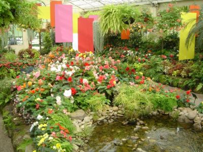 フィッツロイガーデンの温室の花