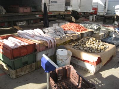 魚市場の貝、えび、魚