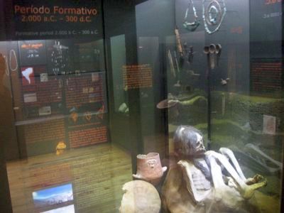 考古学博物館のミイラ