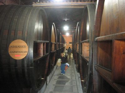 ワイン貯蔵庫の巨大な樽