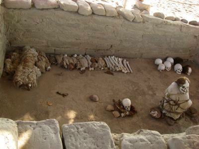 ナスカ墓地跡のミイラ