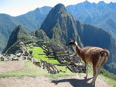 ペルーの世界遺産マチュピチュ遺跡とリャマ