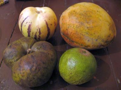 ペルーの代表的フルーツ