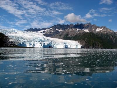アラスカのスワード旅行記!フィヨルド氷河クルーズでラッコ,シャチ,パフィン観光