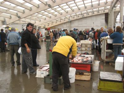 魚貝類の自炊天国＆世界遺産バルパライソ in ビーニャ・デル・マル